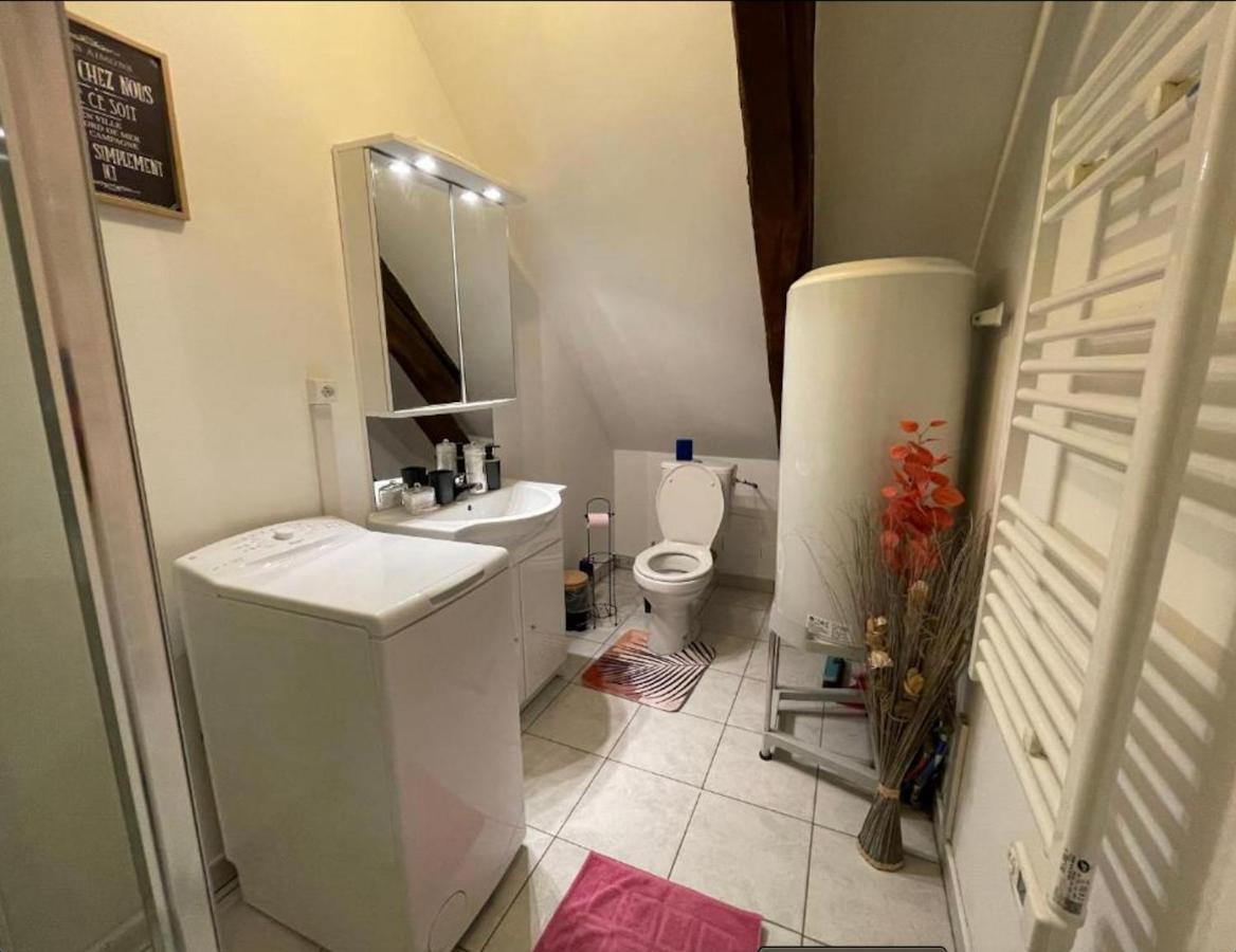 Appartement Avec Parking Gratuit Et Wifi Vierzon Dış mekan fotoğraf