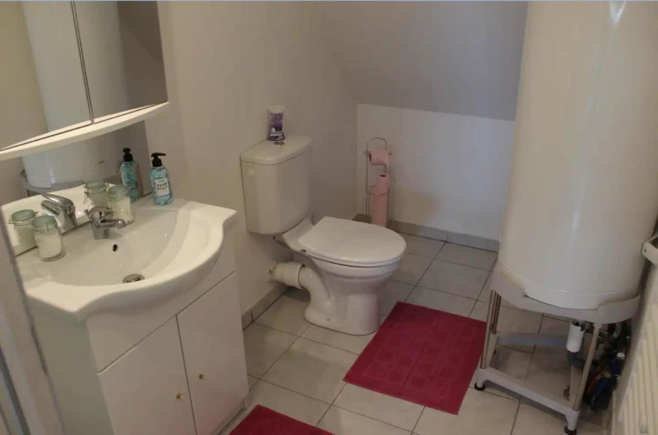 Appartement Avec Parking Gratuit Et Wifi Vierzon Dış mekan fotoğraf
